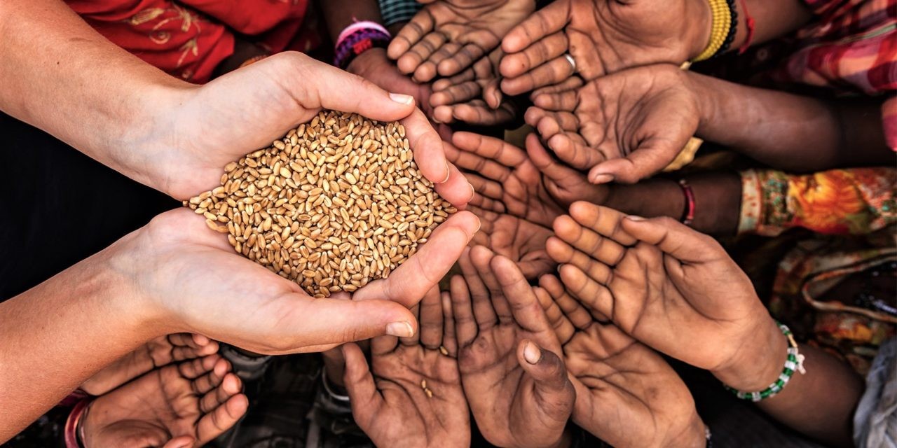 Foundation Background